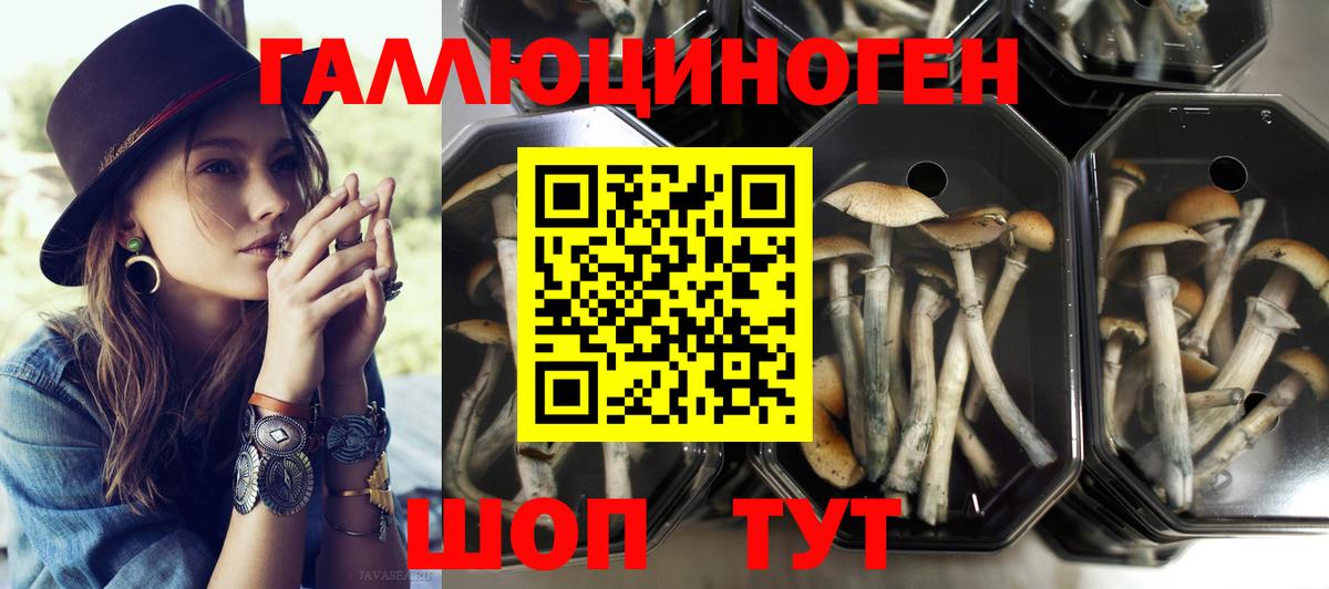 Галлюциногенные грибы мухоморы  Вход с VPN  где найти   Тулун 